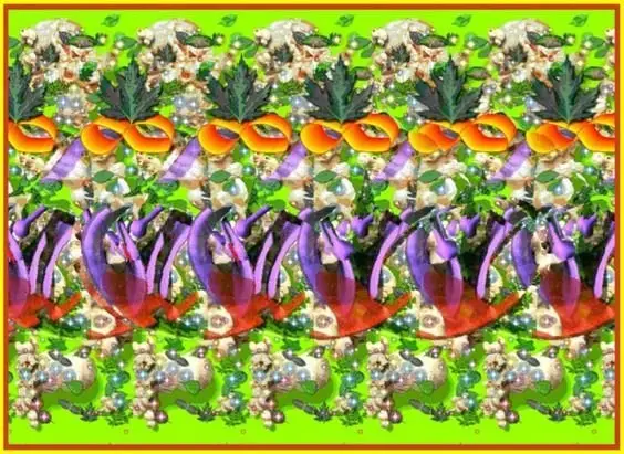 Magic Eye Racoon 30