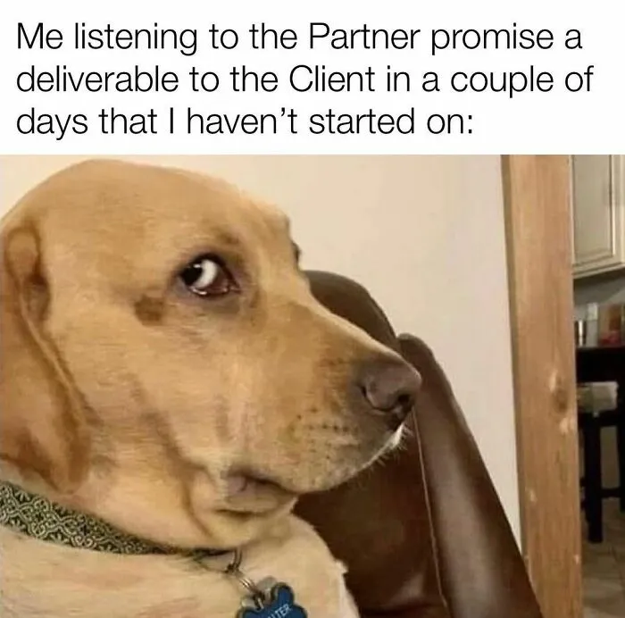30 legal memes to get you through jury duty (and all things court ...