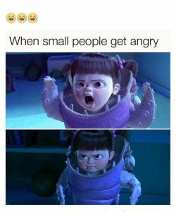 Smaller Meme 30 Fun-sized memes for short people - Kate Knows