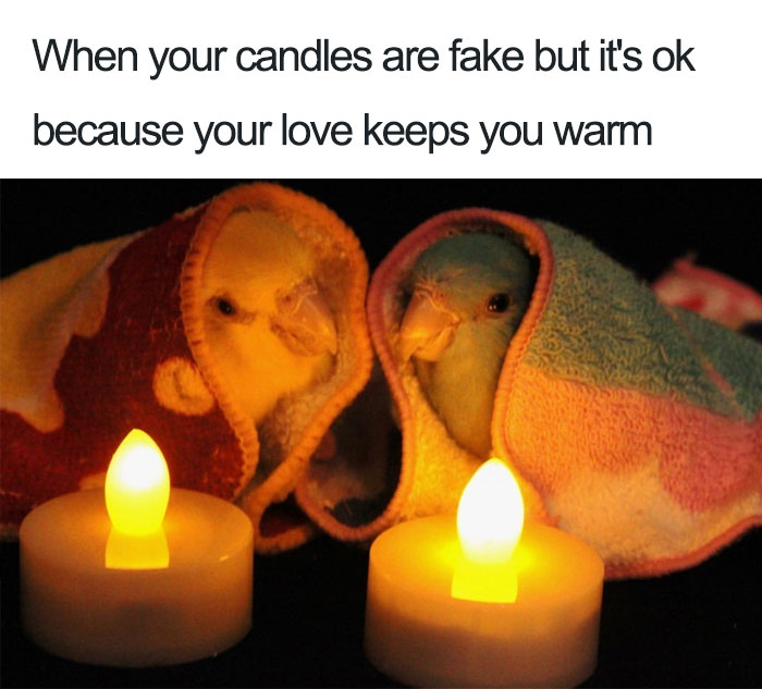 Budget romance, premium feelings