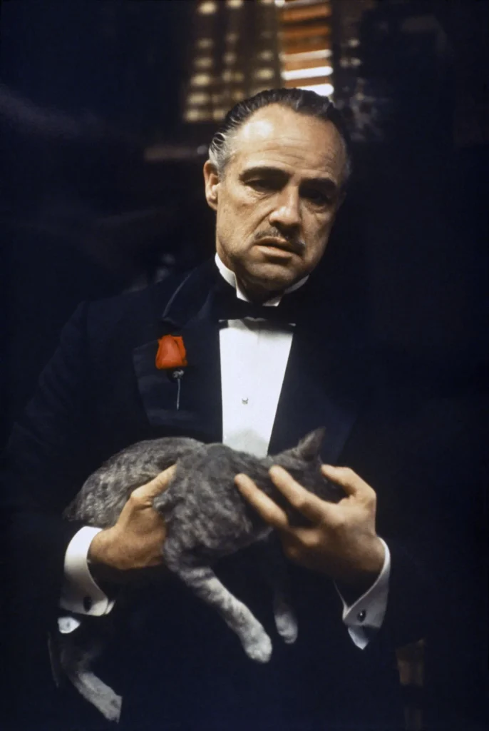 29. The Godfather's Cat