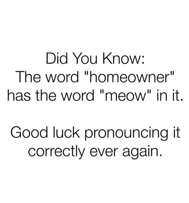 HoMEOWner