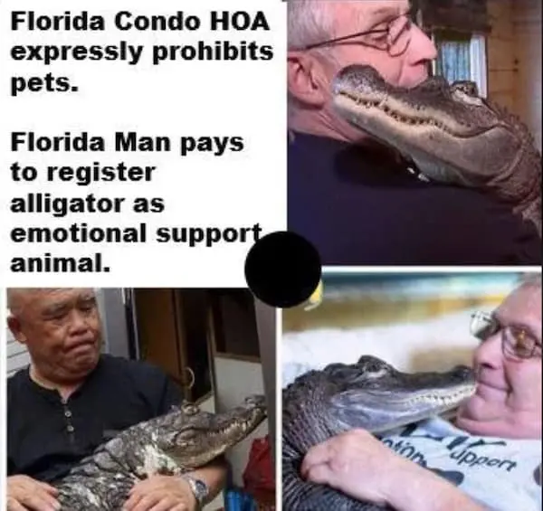 Dangerous Emotional Support Animal