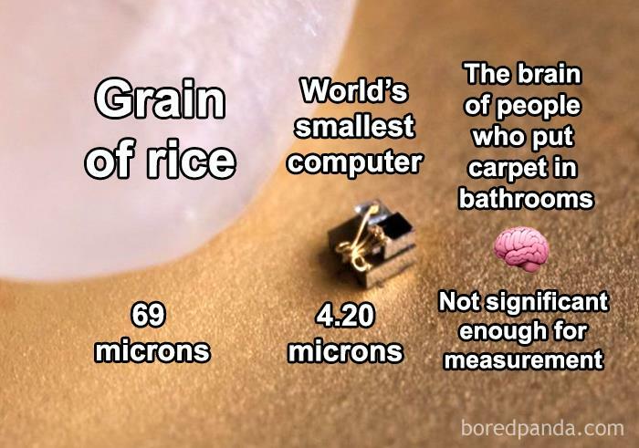 Carpet Floor In The Bathroom?!