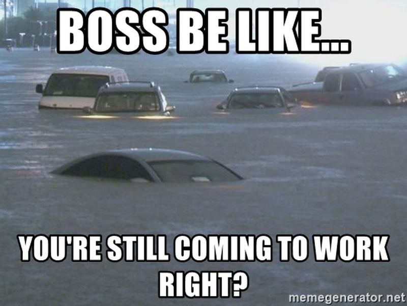Rain, shine, or apocalypse