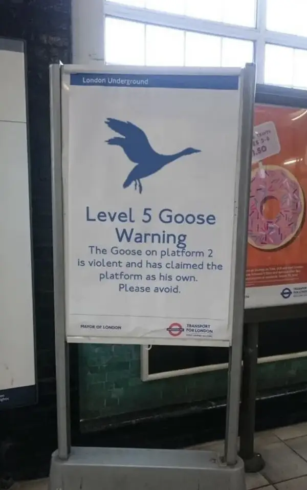 The Subway's Worst Tenant