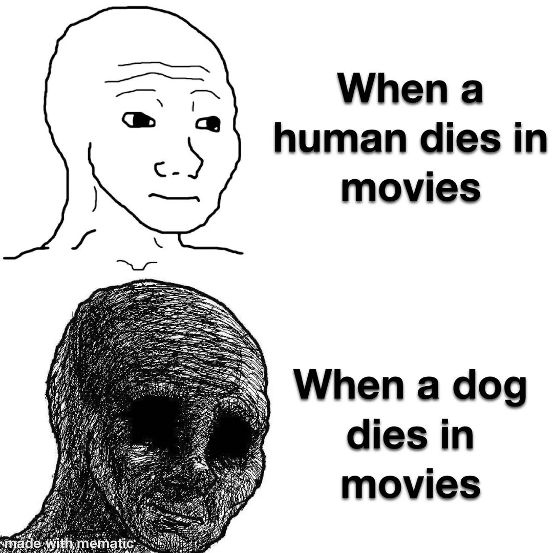 What The Dog Doing?