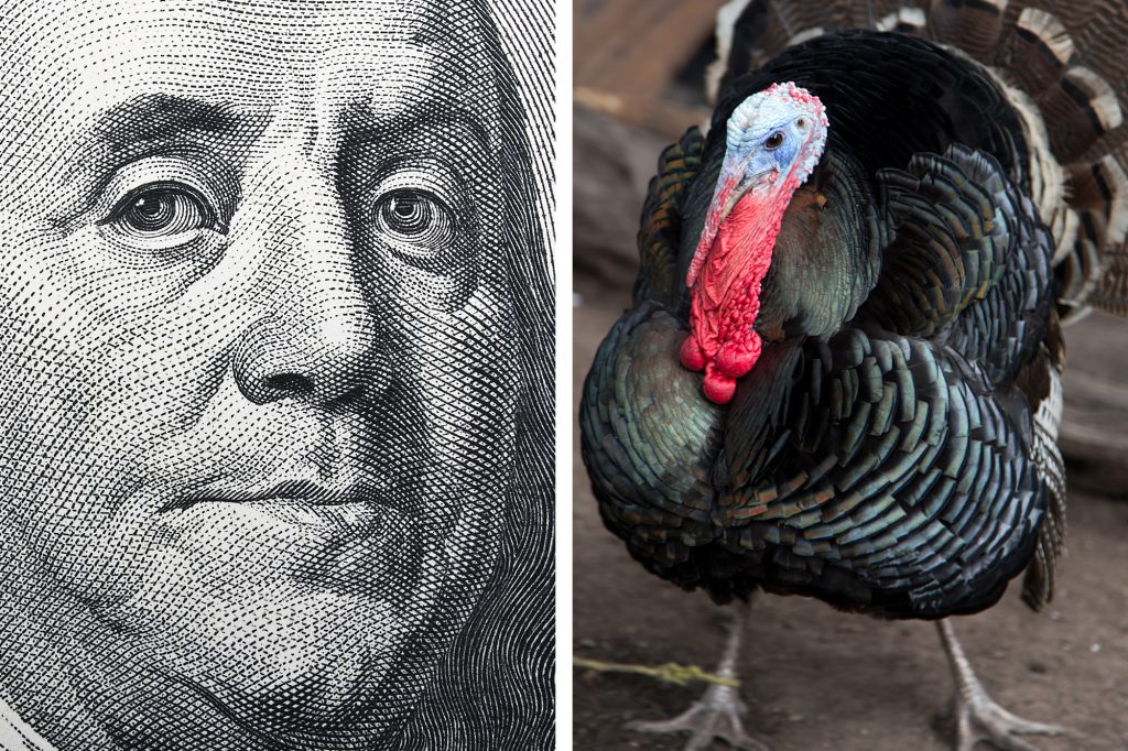 Ben Franklin Tried to Get Turkeys as the National Bird