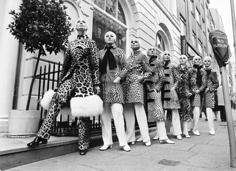 Animal Print