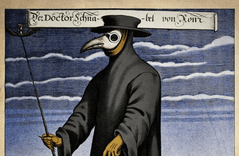 The Black Plague Was Spread by Rats