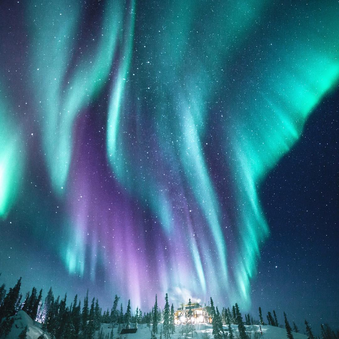See the Northern Lights