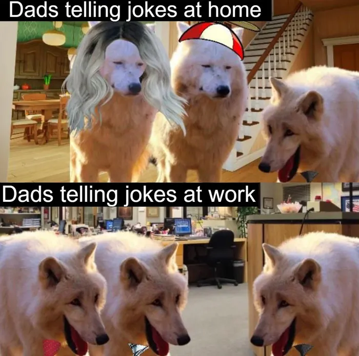 Same jokes, different audience