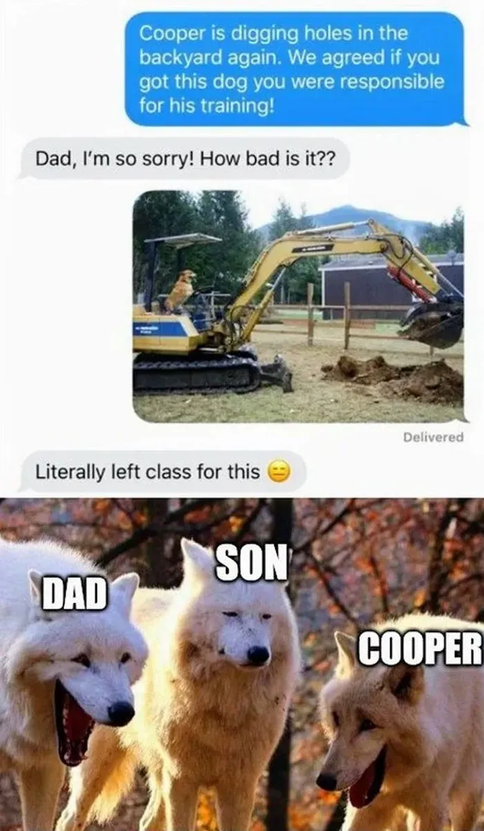 Construction crew dog