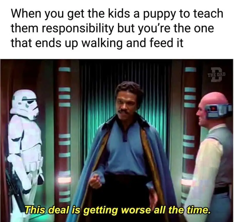 Classic puppy trap
