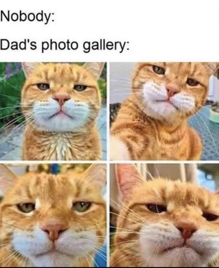 Accidental selfie collection