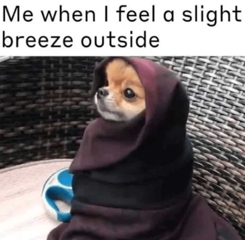 Breeze level: dramatic