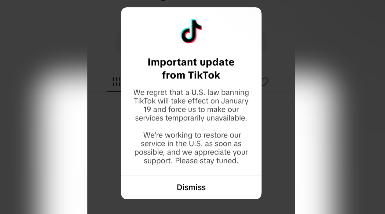 Americans Say 'Goodbye' To TikTok