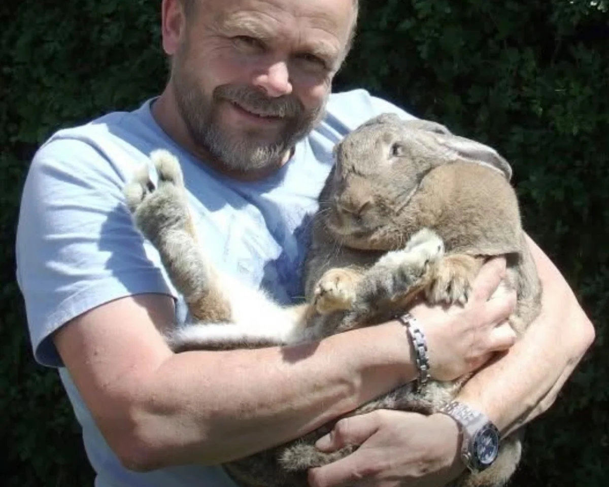 21 Heroic Animals Who Saved Human Lives - Kate Knows