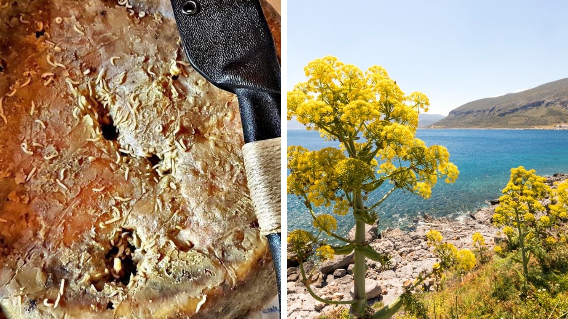 28 Disgusting Ancient Foods People Actually Ate Kate Knows(02)