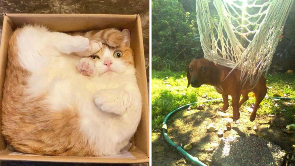 30 Fall Memes That Are Too Hilariously Accurate - Kate Knows
