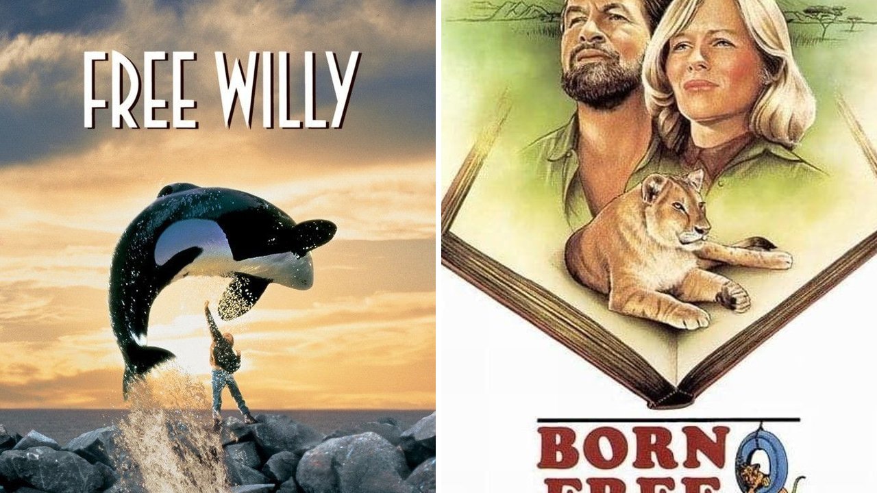 30 Best Films Featuring Animals, Creatures & Non-Human Stars - Kate Knows